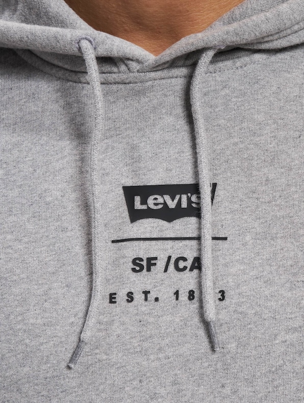Levi's® Relaxed Graphic Hoody-4