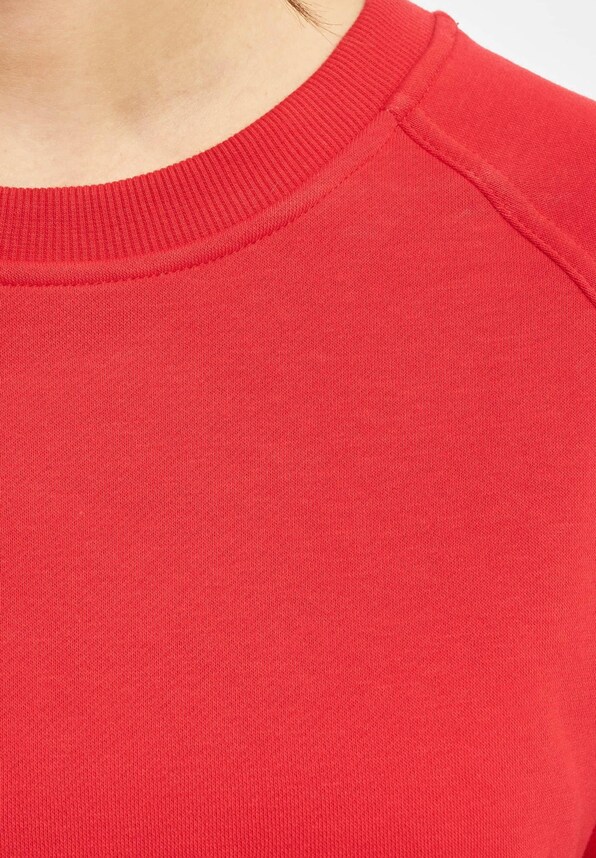 Ladies Oversized Short Raglan -2