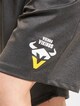 Vienna Vikings 1 -4