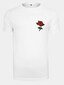 white_17338