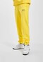 yellow_28917