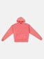 pink_149713