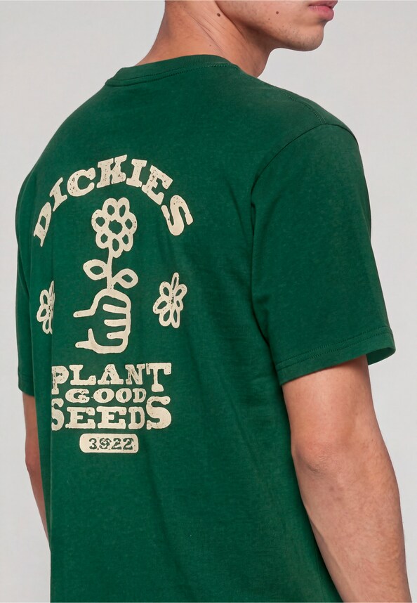 GOOD SEEDS-3
