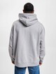 Levis Standard Graphic Hoodie-1