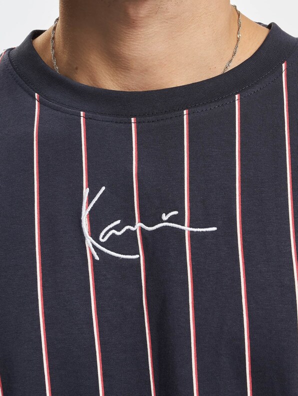 Small Signature Pinstripe-3