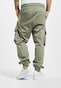 olive_32538