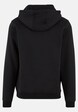 California Bear Hoody-3