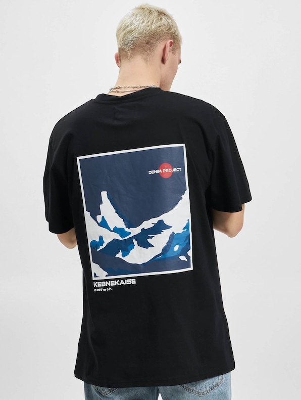 Dpkebnekaise Printed Boxy-1