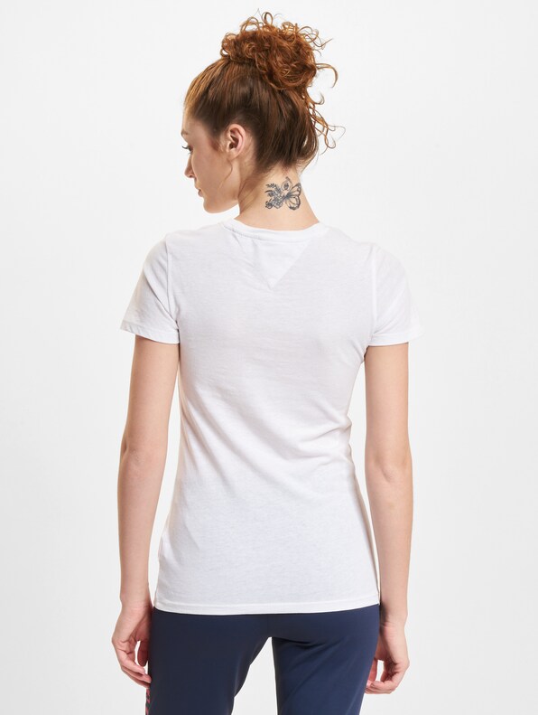 Skinny Essential Logo-1