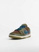 Dunk Low Nh-2