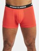 Organic X-Mas 3-Pack-1