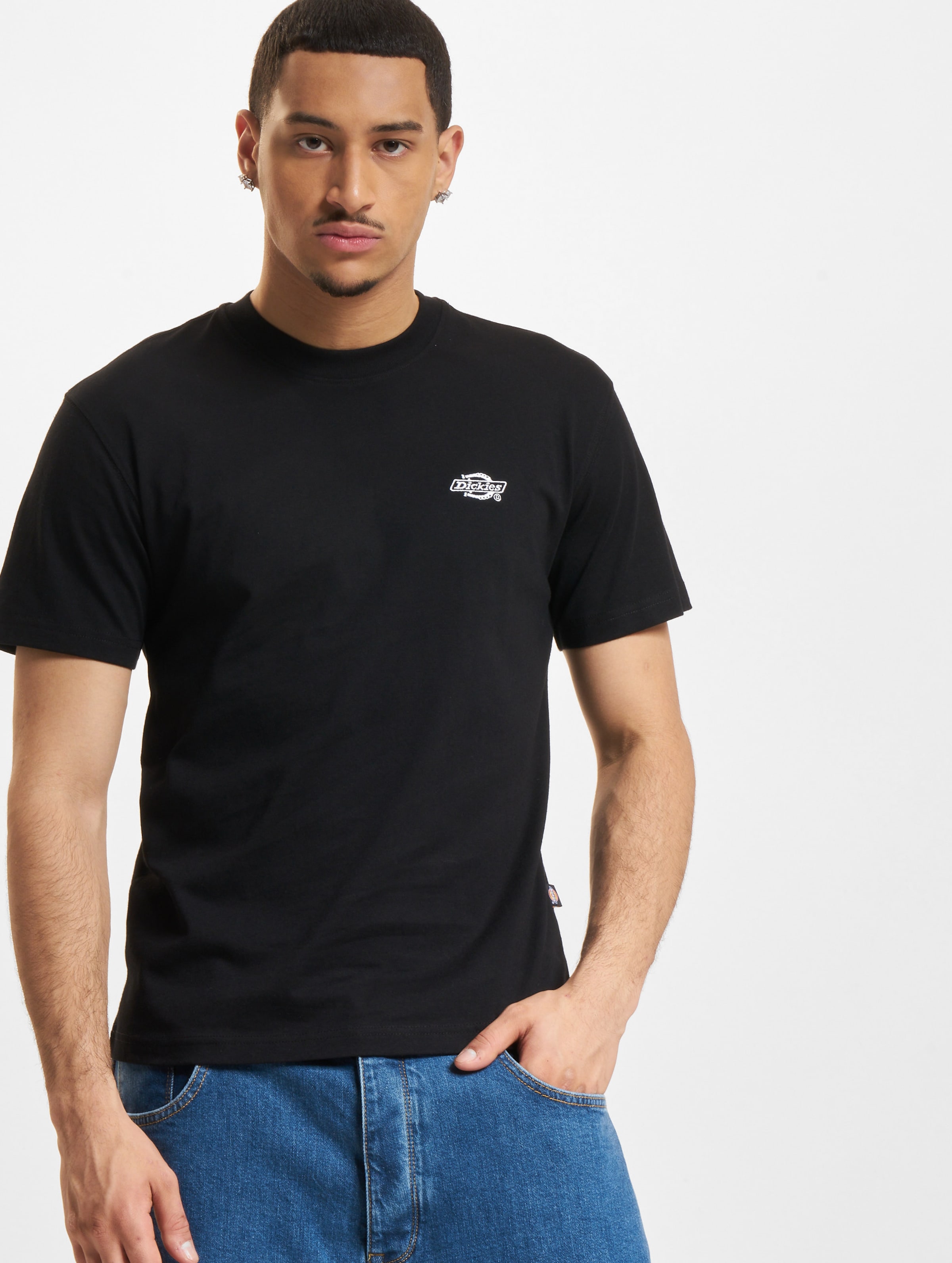 Dickies T Shirts for Men buy online DEFSHOP