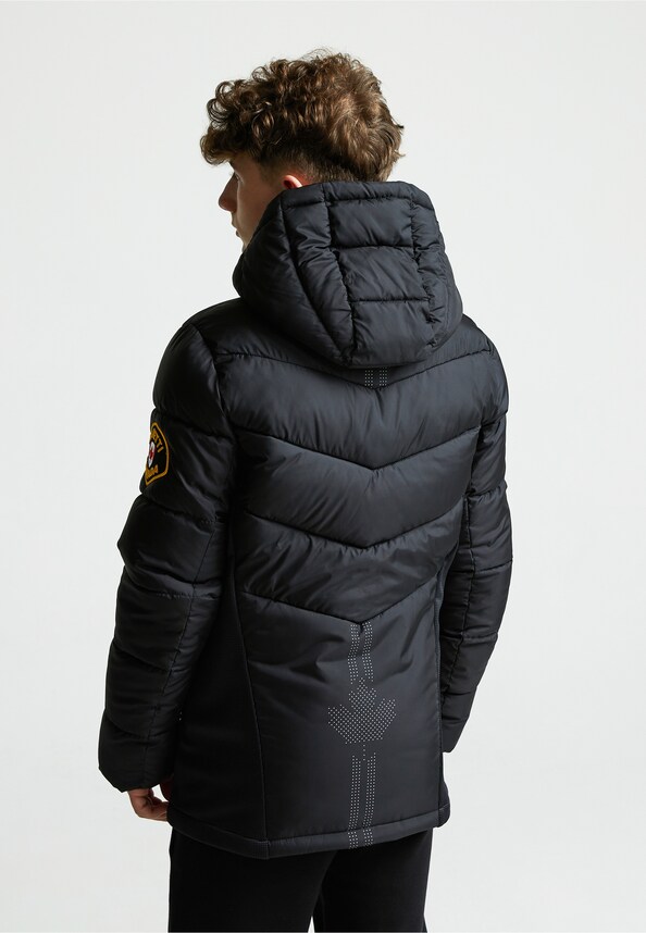 JNR FALLORI HYBRID -1