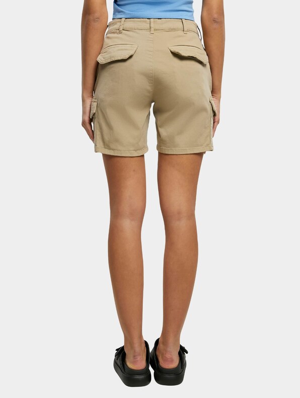 Ladies High Waist-1