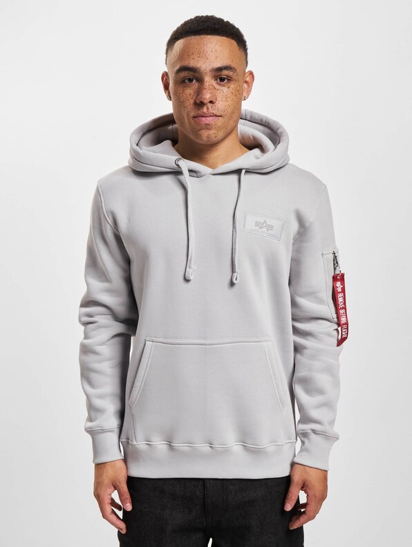 Alpha Industries Back Print Hoodies-2