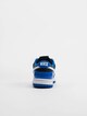 Dunk Low Essential -5