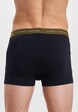 Boxer-8