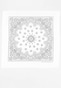 white_57779