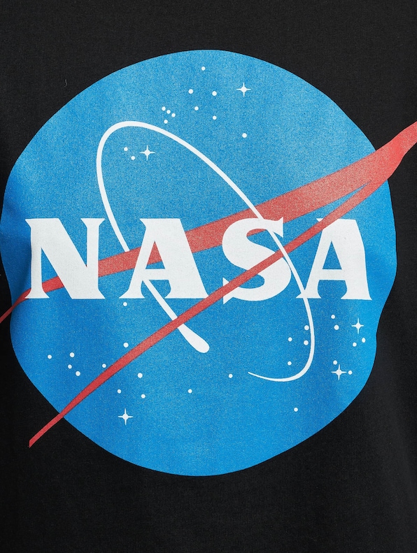 NASA Insignia-3