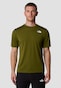 olive_140438