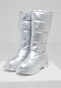 silver_141859