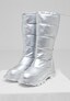 silver_141859