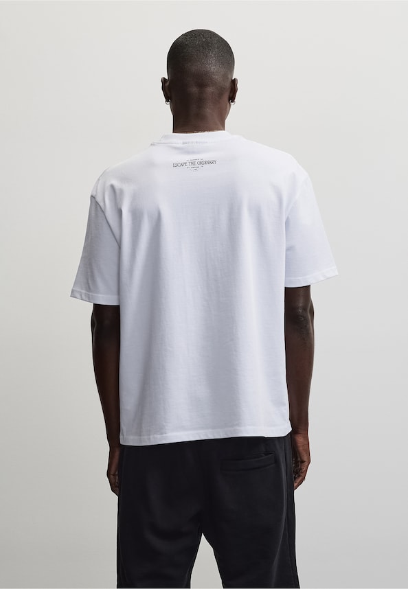 Albi Oversized-1