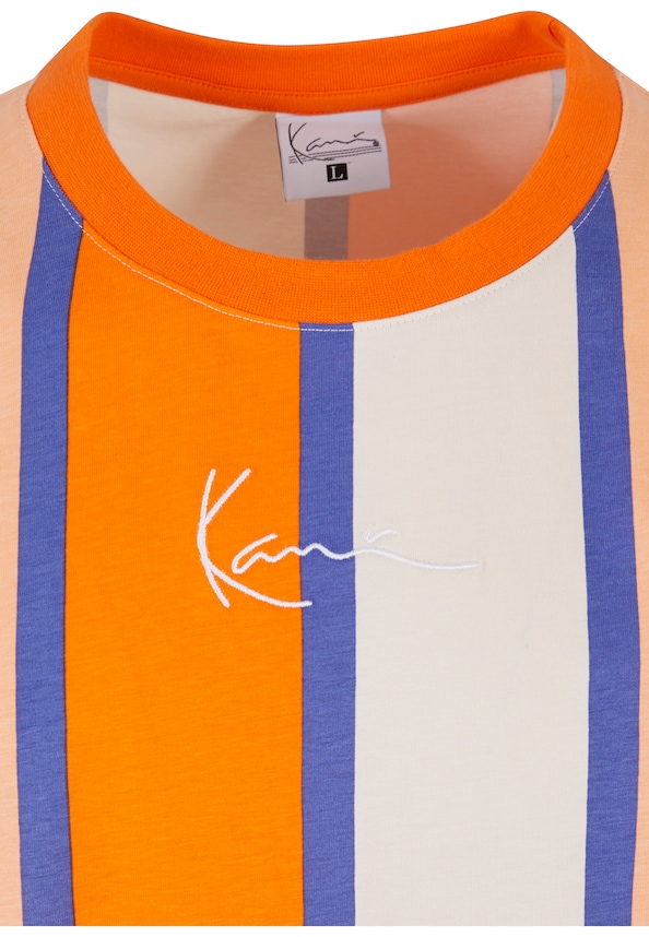 Small Signature Stripe-5