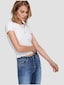 white_127102