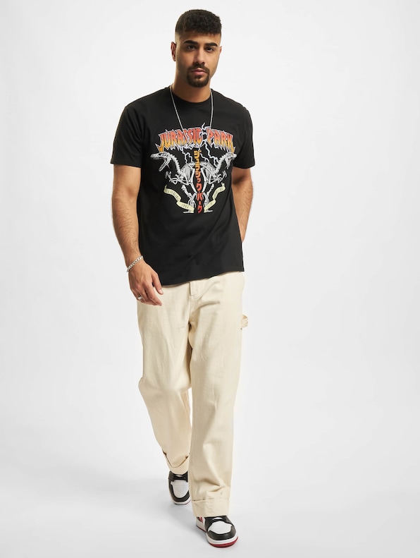 Jurassic Park Rock-4