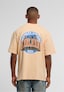 orange_197491