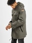 olive_38295