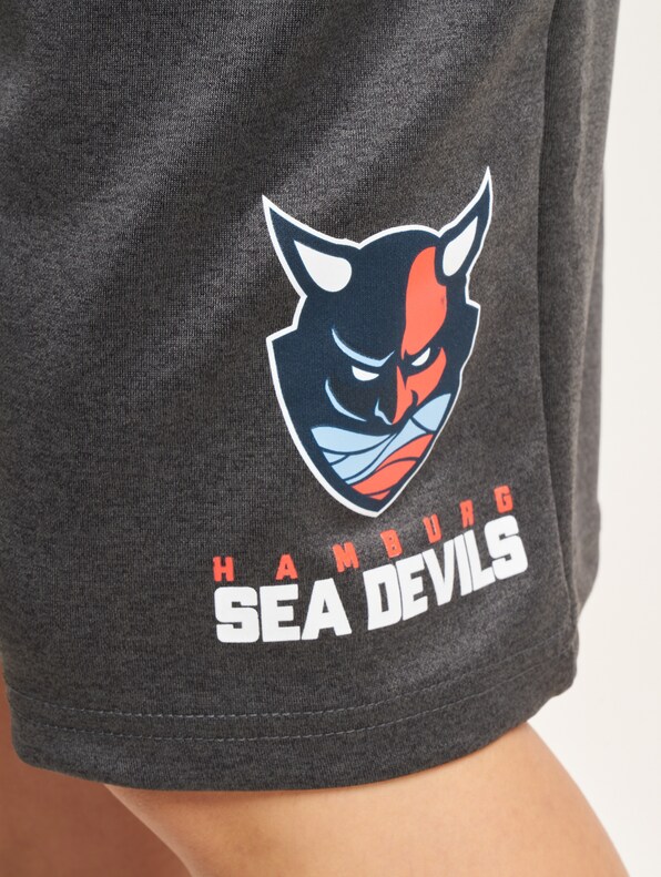 Hamburg Sea Devils 1-4