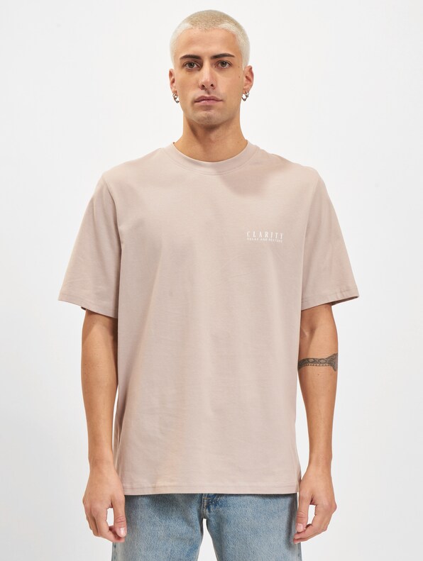 Jack & Jones Gemstone Crew Neck T-Shirt-1