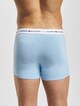 3 Pack Print -2
