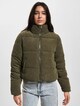 Newdolly Corduroy-2
