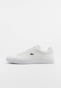 white_45985