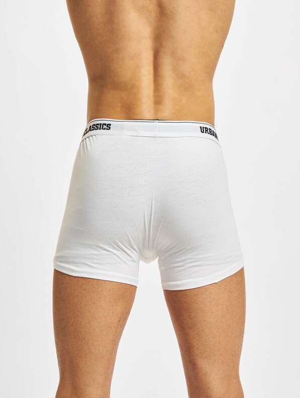 Organic Boxer Shorts 5-Pack-5