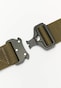 olive_7555