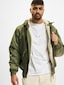 olive_38239