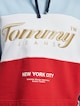 Tommy Jeans Crop Archive Hoody-4