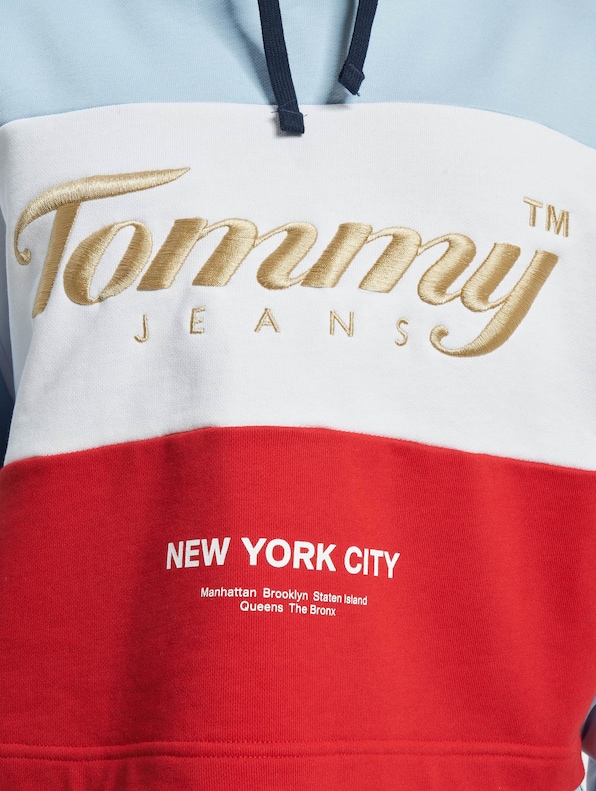 Tommy Jeans Crop Archive Hoody-4
