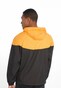 yellow_8681