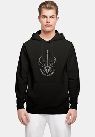 Harry Potter - Expecto Patronum Basic Hoody