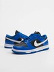 Dunk Low Essential -0