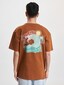 brown_63399