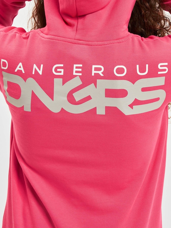 Dangerous DNGRS Classic Kids Hoodies-6