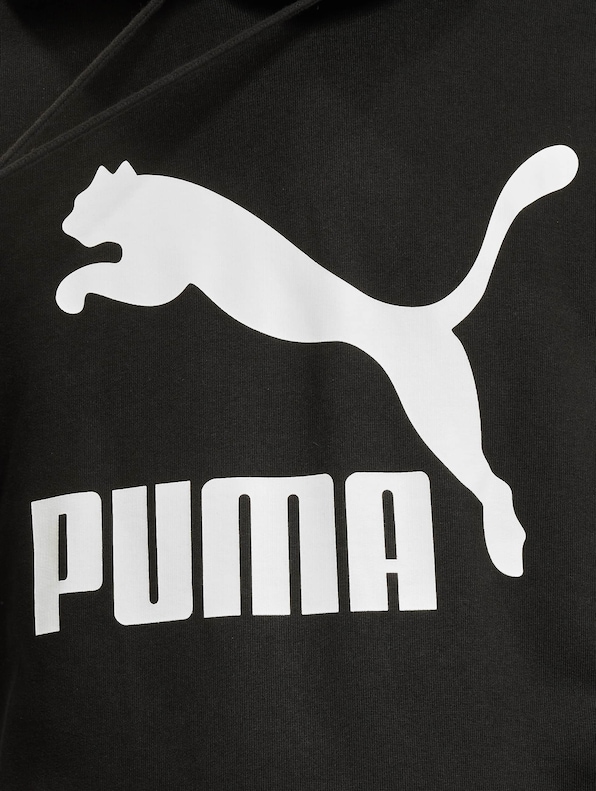 Puma Classics Logo Tr Hoodie-3