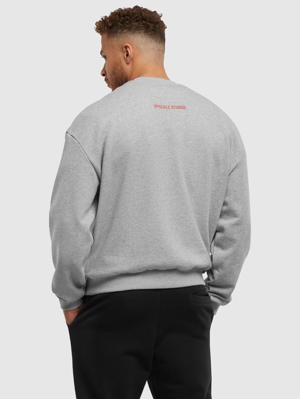 Mister Tee Upscale Texas Longhorns Austin Oversize Crewneck-1