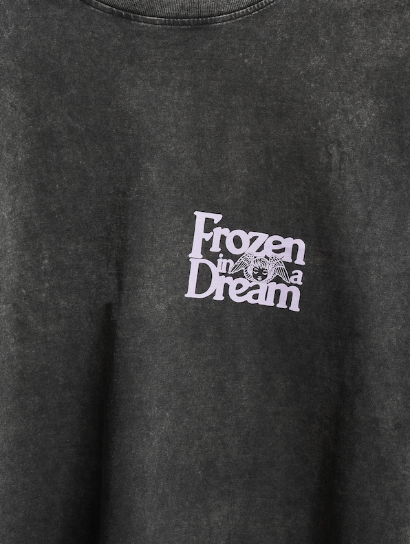 Frozen In A Dream-3